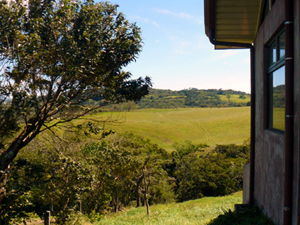 Past the front of the house is the slope down to the end of the lot in the quebrada with a frested stream.